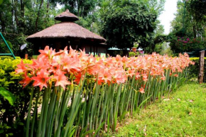 Shuklaphanta Jungle Cottage